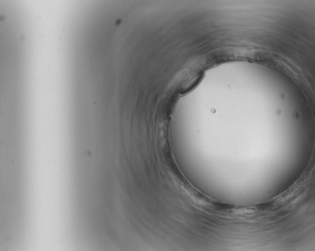 X0000066520462200603170954