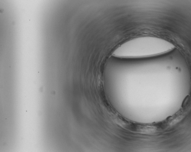 X0000066520463200603170954