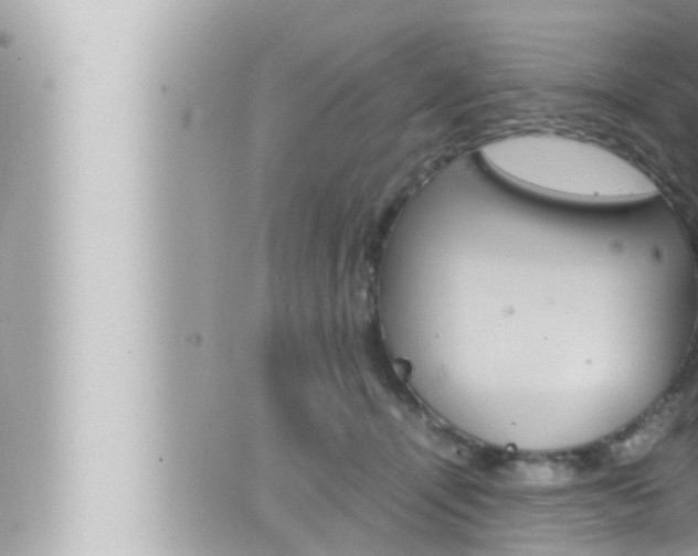 X0000066520464200603170954