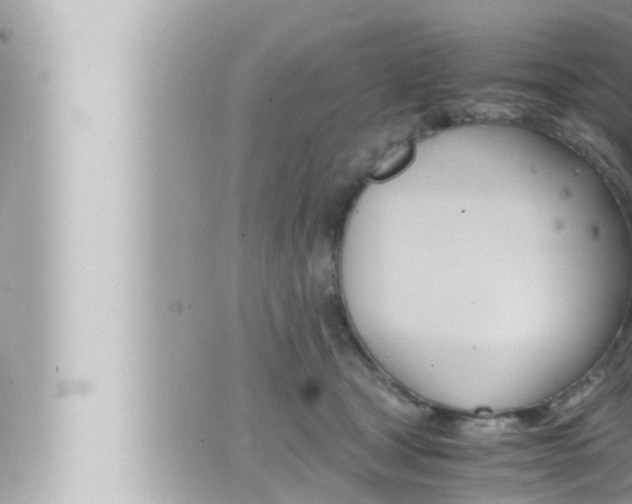 X0000066520465200603170954