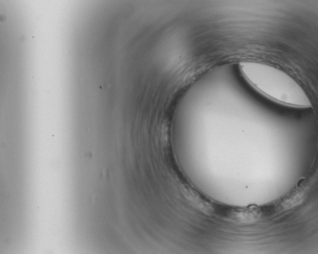 X0000066520466200603170954