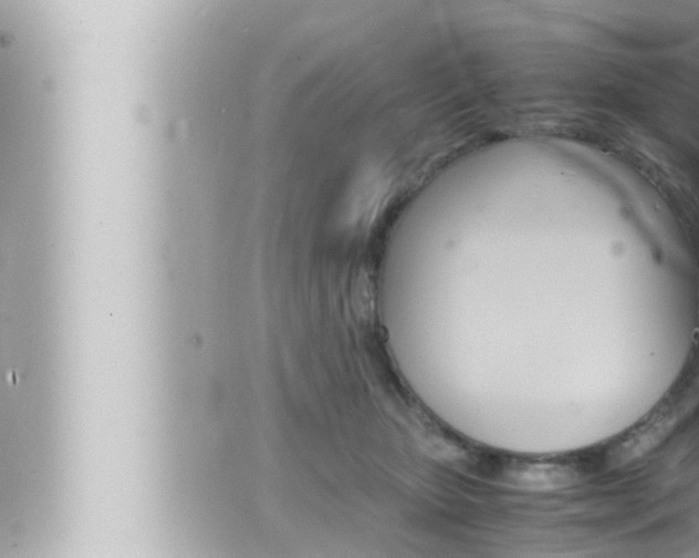 X0000066520467200603170954