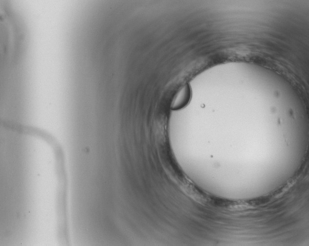 X0000066520468200603170954