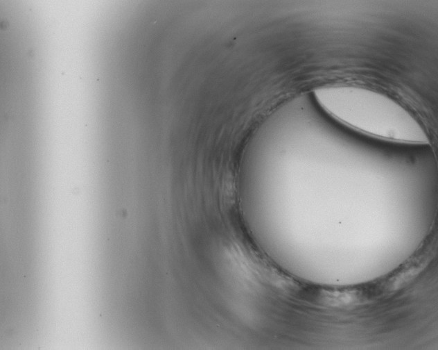 X0000066520469200603170954