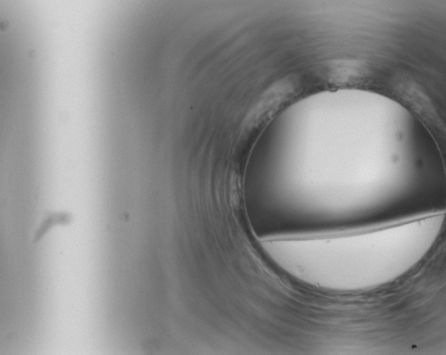 X0000066520470200603170954