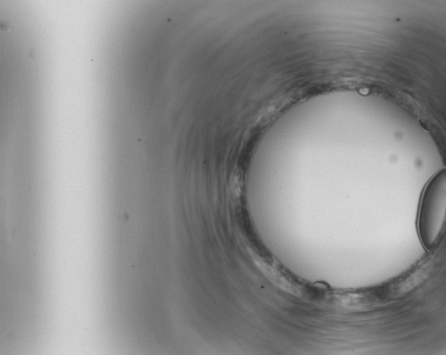 X0000066520472200603170954