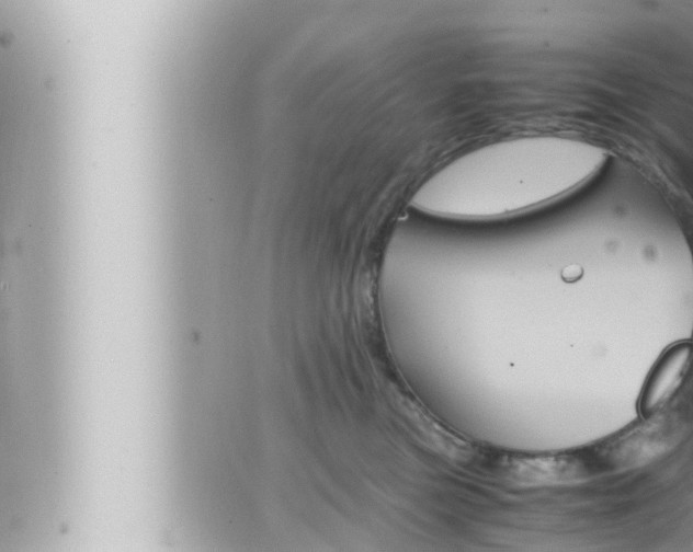 X0000066520473200603170954