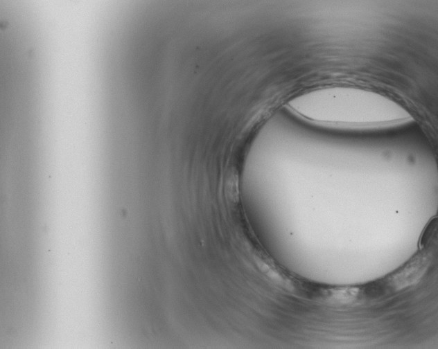 X0000066520474200603170955