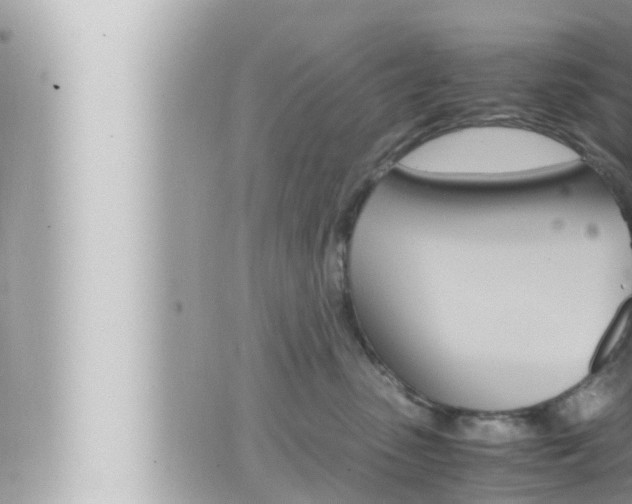 X0000066520475200603170955