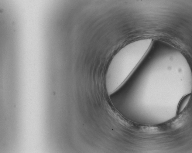 X0000066520476200603170955