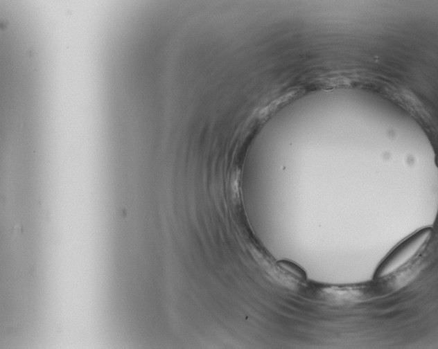 X0000066520477200603170955