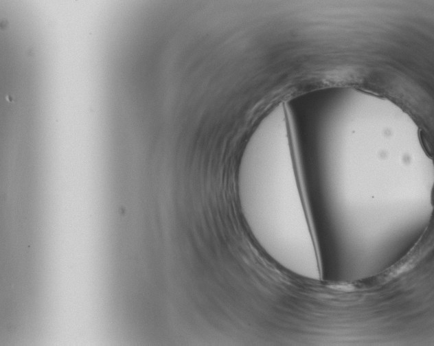 X0000066520478200603170955