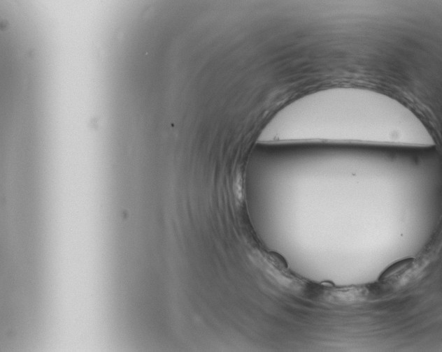 X0000066520479200603170955