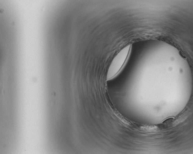 X0000066520480200603170955