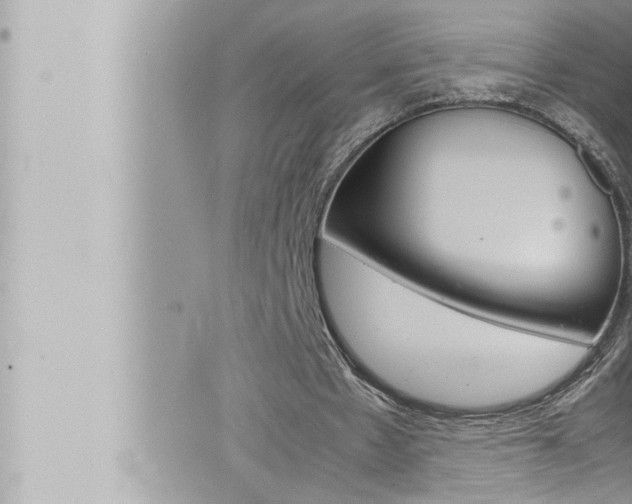 X0000066520481200603170954