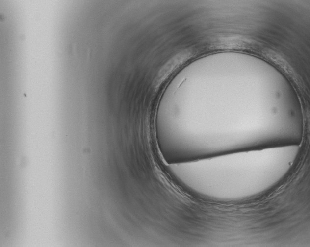 X0000066520482200603170954