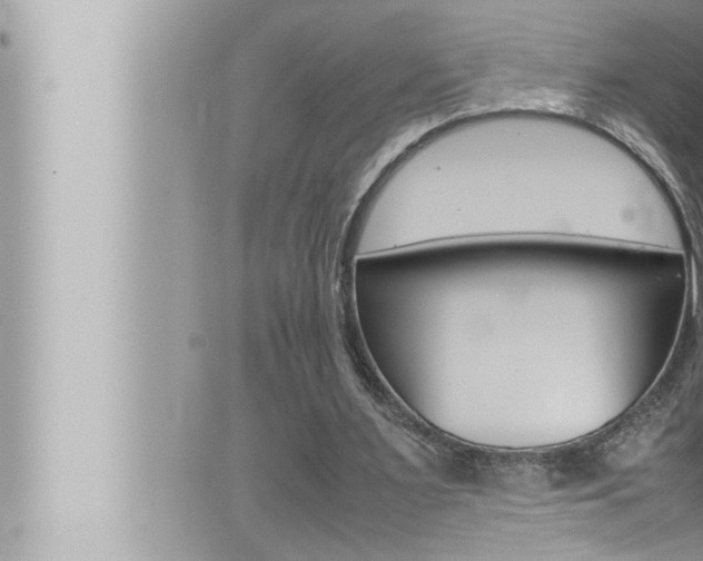 X0000066520483200603170954