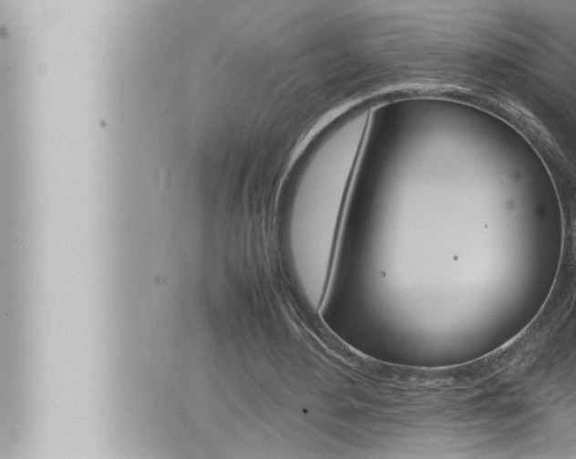 X0000066520484200603170954