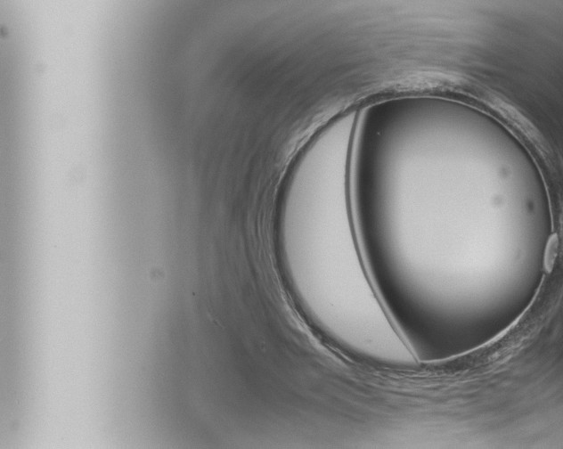 X0000066520485200603170954