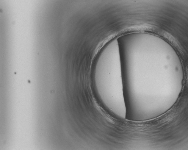 X0000066520486200603170954