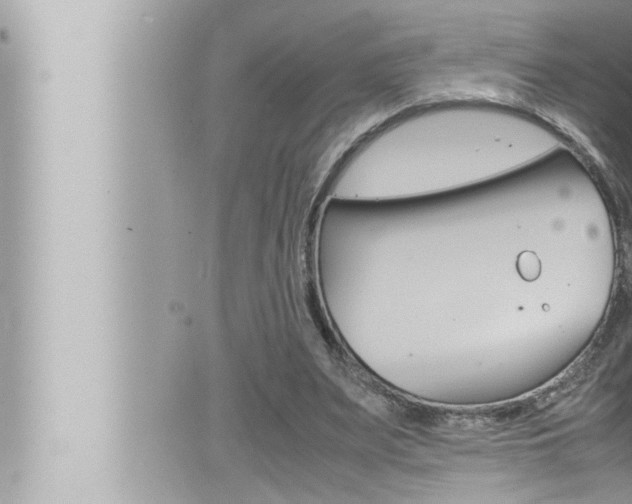 X0000066520487200603170954