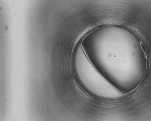 X0000066520488200603170954