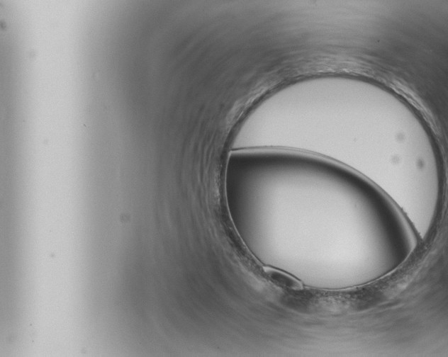 X0000066520489200603170954