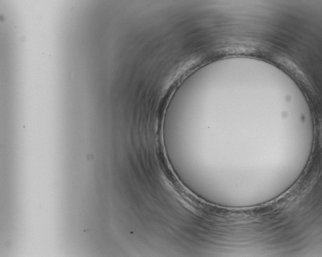 X0000066520490200603170954