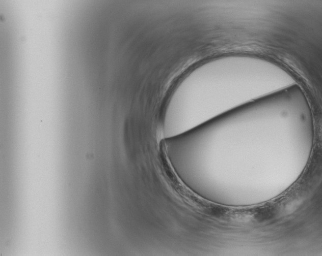 X0000066520491200603170954