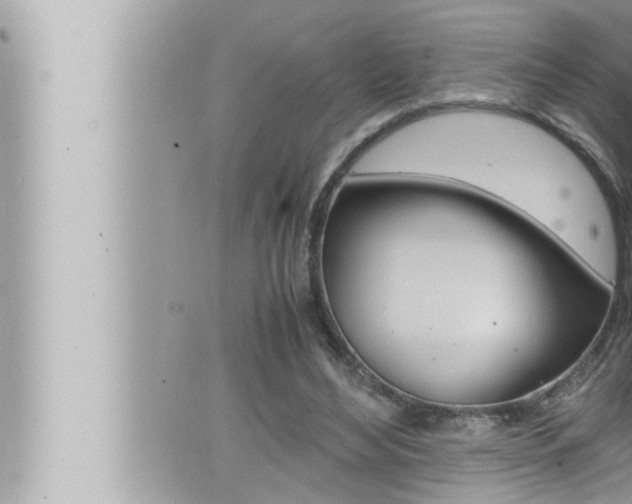 X0000066520492200603170954