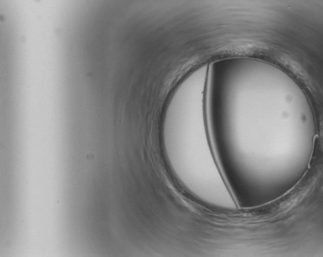 X0000066520493200603170954