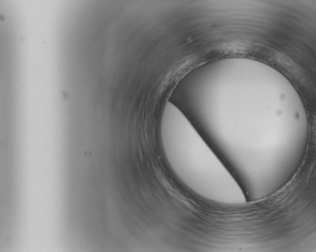 X0000066520494200603170954