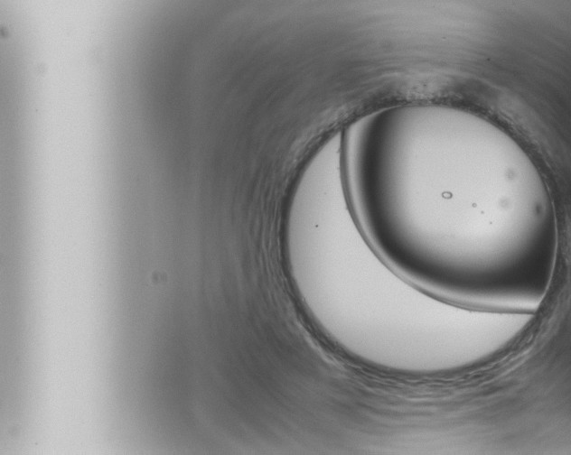 X0000066520497200603170954