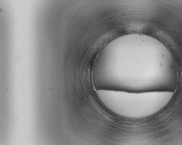 X0000066520498200603170954