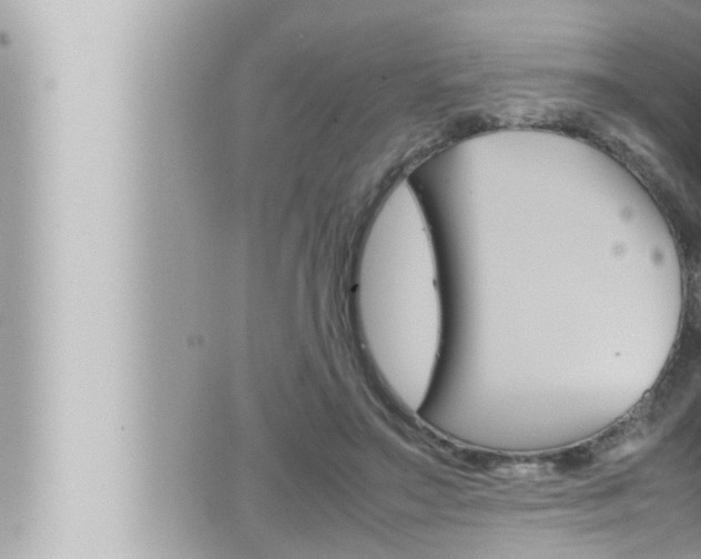 X0000066520499200603170954