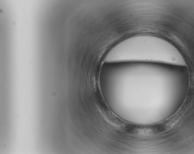 X0000066520500200603170954