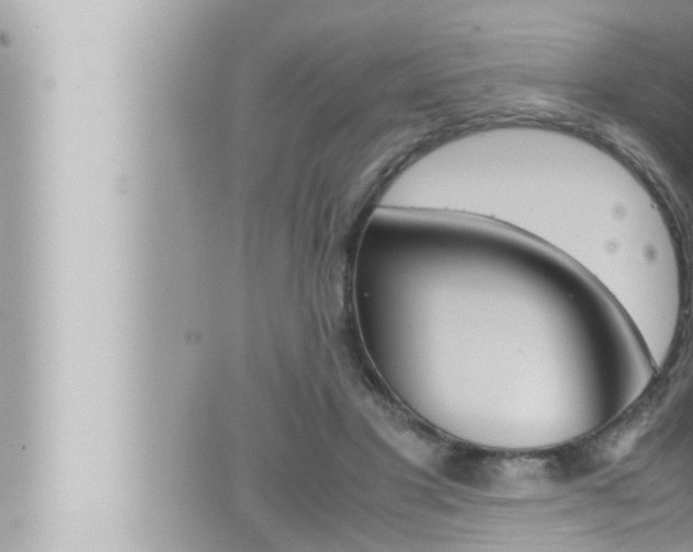 X0000066520501200603170953