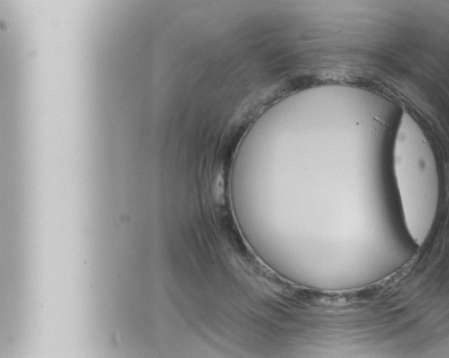 X0000066520502200603170953