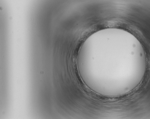 X0000066520503200603170953