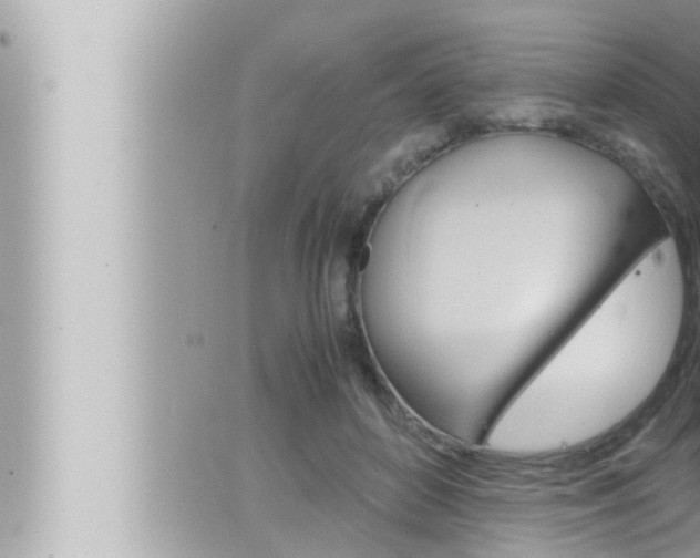 X0000066520504200603170953