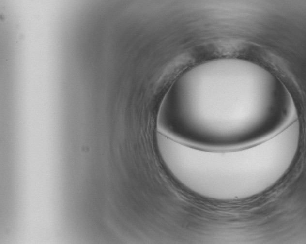 X0000066520505200603170953