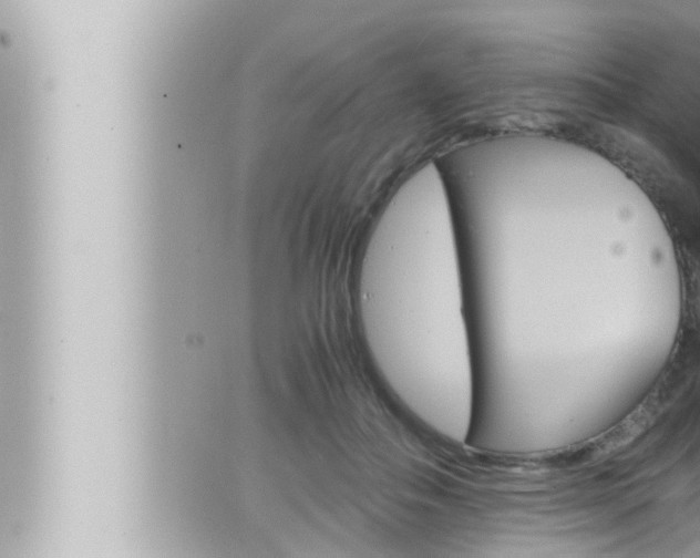 X0000066520506200603170953