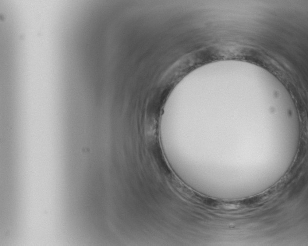 X0000066520507200603170953