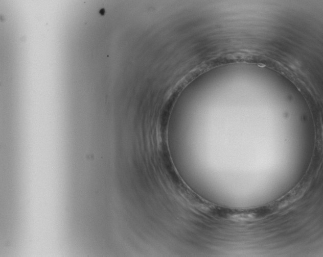 X0000066520508200603170953