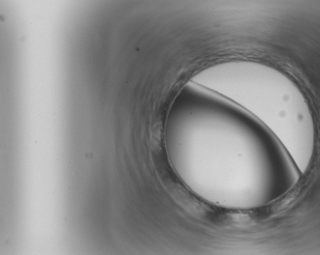 X0000066520509200603170953