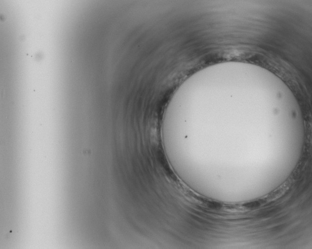 X0000066520510200603170953