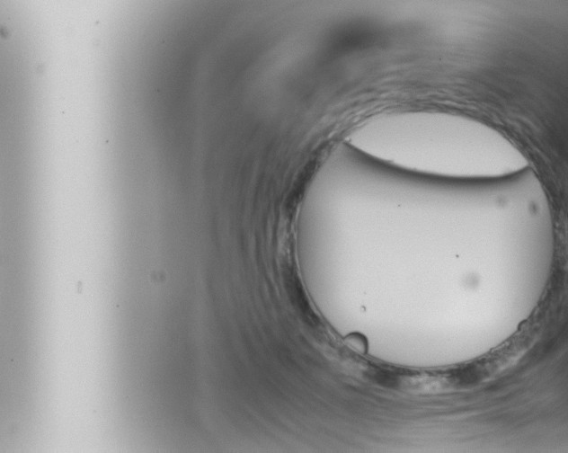 X0000066520511200603170953