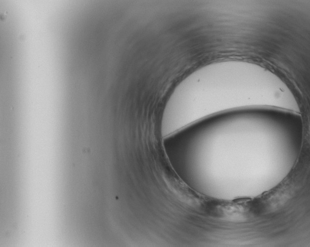 X0000066520512200603170953