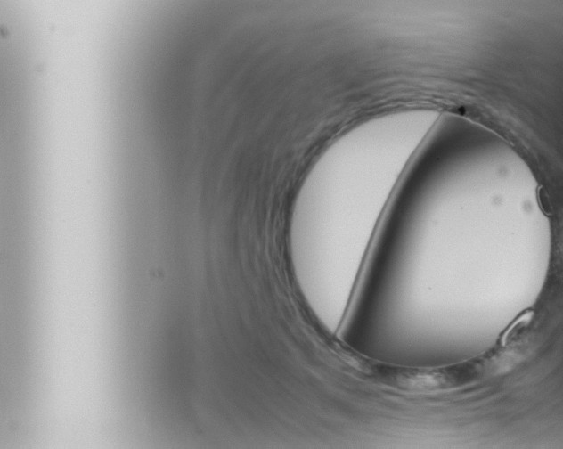 X0000066520513200603170953