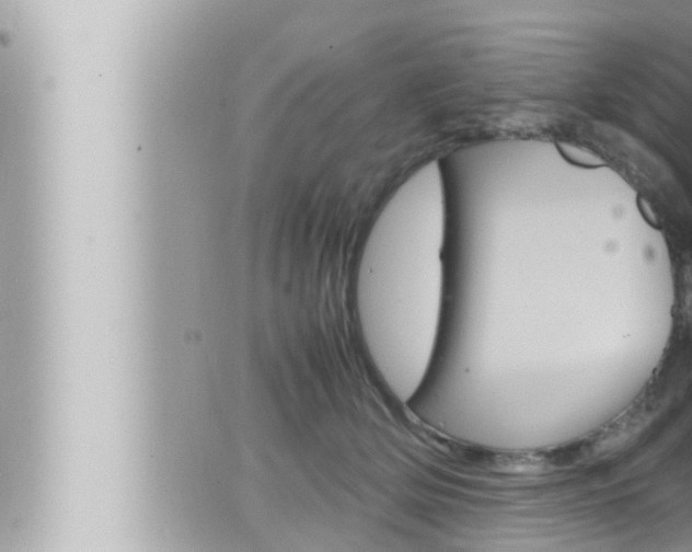 X0000066520514200603170953